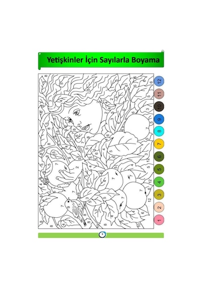 Yetişkinler İçin Sayılarla BOYAMA Kitabı