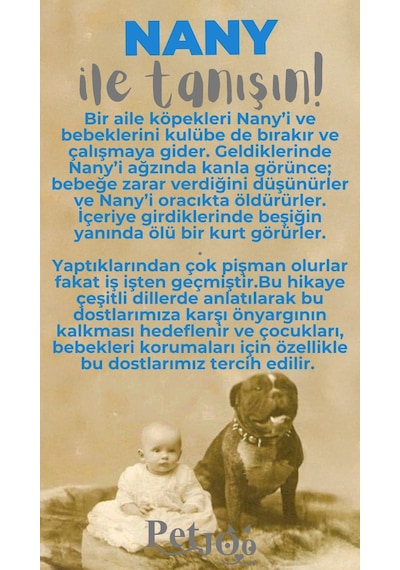Petjoo 17.Nany Gri-Mavi Qr'lı Köpek Künyesi
