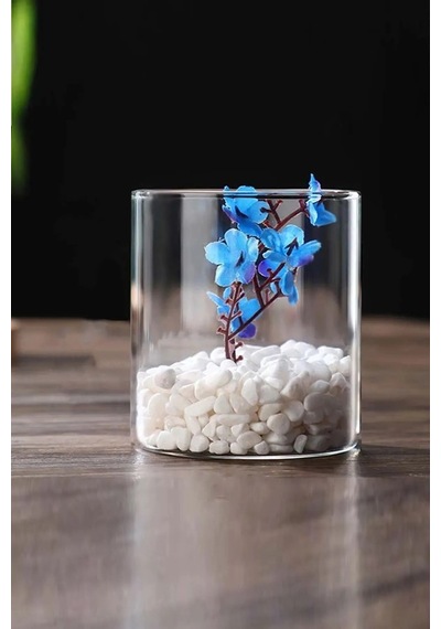 Silindir Masa Üstü Cam Vazo, 10x14 Cm Silindir Saksı Mumluk Beyaz