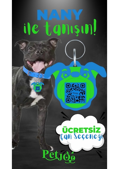 Petjoo 17.Nany Yeşil-Mavi Qr'lı Köpek Künyesi