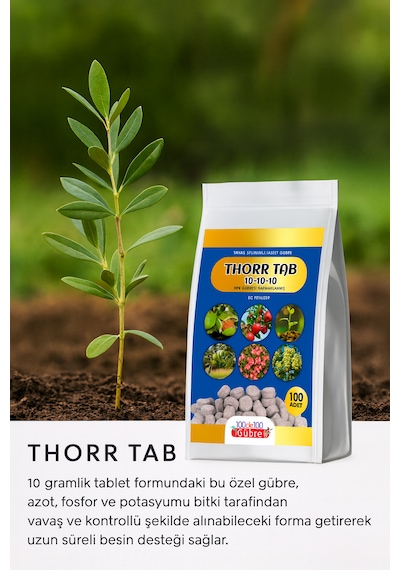 Thorr Tab 10.10.10 1