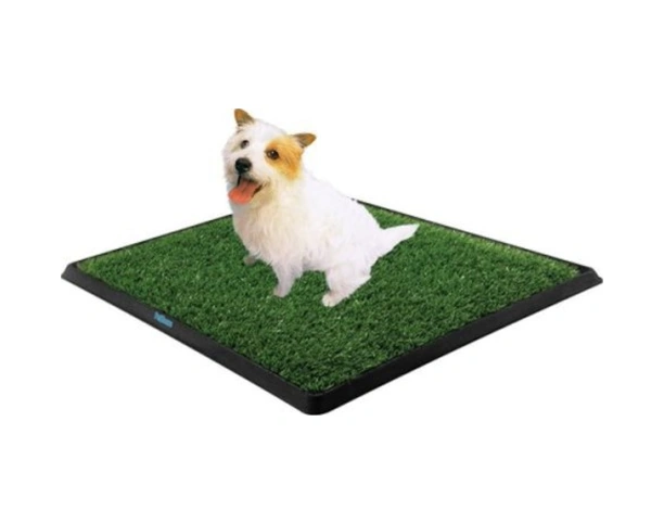 Ttt Köpek Tuvalet Eğitim Seti