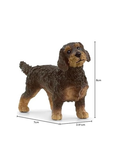 Schleıch Tel Tüylü Dachshund, Oyuncak Figür