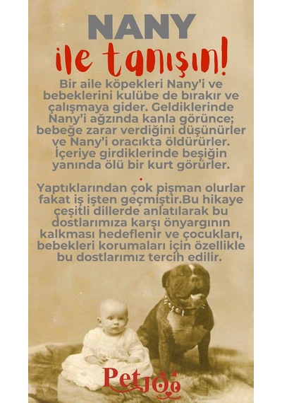 Petjoo 17.Nany Kırmızı-Gri Qr'lı Köpek Künyesi