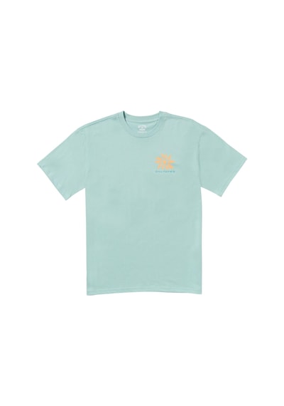 Bıllabong Billabong Sunshine Regular Ss Erkek Yeşil Tişört 4410 Yeşil