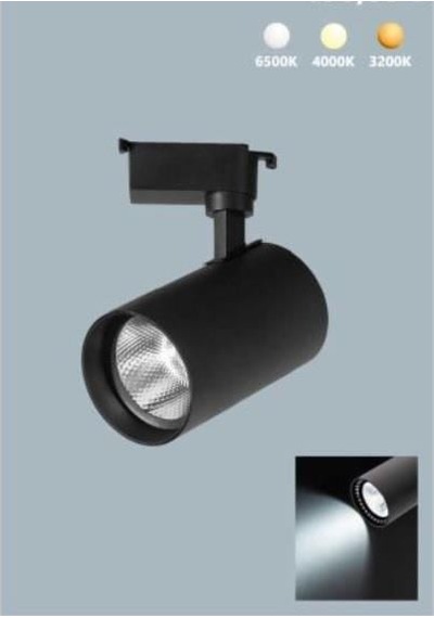 Noas 30w Paris Günışığı Siyah Kasa Ray Spot Noas Yl29-3102 Gün Işığı