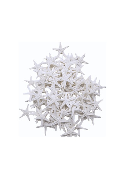 Polyester Deniz Yıldızı Minik Boy 0.5 Cm- 1.5 Cm 100 Adet Beyaz