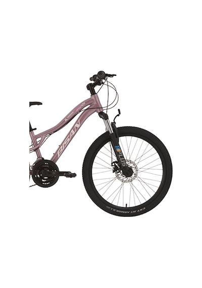Bisan Kdx 2800-d Kadın Mtb Dağ Bisikleti 24 Jant 21 Vites Disk Fren 30 Cm Kadro Metalik Pembe
