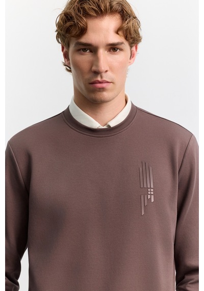 Avva Erkek Kahve Bisiklet Yaka Kolay Ütülenen Baskılı Pamuklu Regular Fit Sweatshirt A62y1297
