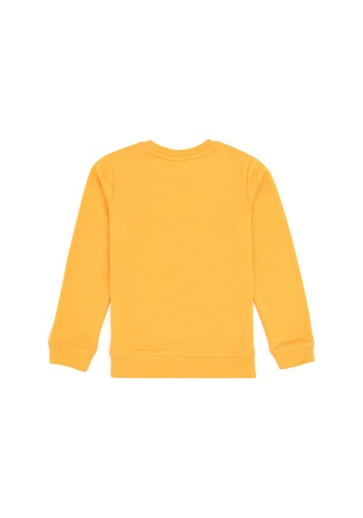 U.S. Polo Assn. Erkek Çocuk Mango Bisiklet Yaka Basic Sweatshirt 50313979-VR244 U.S. Polo Assn. Erkek Çocuk Mango Bisiklet Yaka Basic Sweatshirt 50313979-VR244