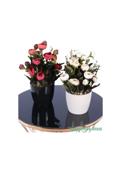Yapay Çiçek Sitesi Plastik Saksıda Yapay Tomurcuklu Ranunkulus Tanzimi 2'li Set 30 Cm Kırmızı - Beyaz