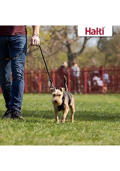 Company Of Animals Halti Köpek Çekme Önleyici Göğüs Tasması, Küçük Boy Genel