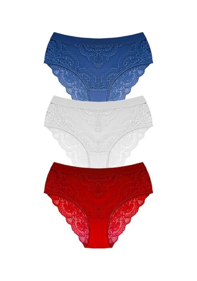 Cottonhill Dantelli Arkası Transparan Büyük Beden Bikini Külot 3'lü Paket-2 Çok Renkli 3
