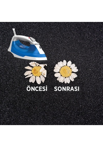Kurutulmuş Papatya - Beyaz
