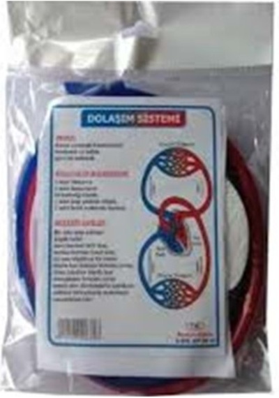 Bozkırlı Dolaşım Sistemi