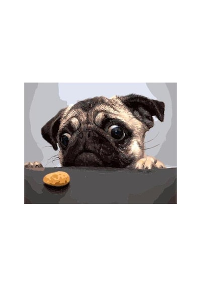 Sevimli Pug Sticker Çerçevesiz 70x90 Sayılarla Boyama Hobi Seti