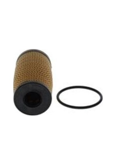 Bosch F026407317 Yağ Filtresi 1520800q2a
