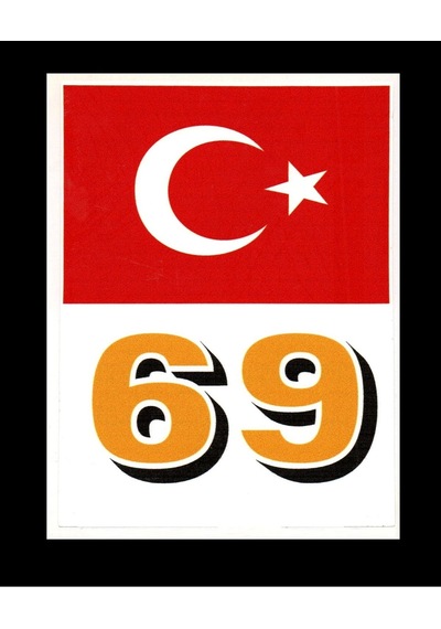 Türkiye Bayraklı Bayburt 69 Plaka Kodu Ön Cam Sticker