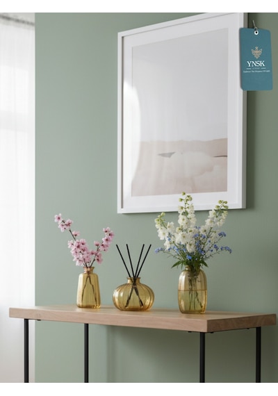 Chacha Home Modern 3'lü Minimalist Cam Çiçek Vazosu Dekoratif Masa Üstü Vazo Seti Bal
