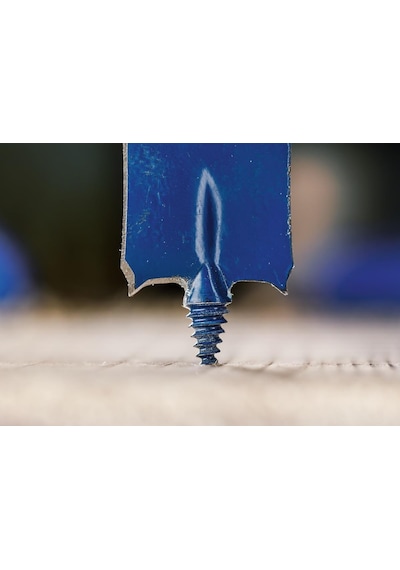 Bosch Expert 10-32 Mm 13 Lü Ahşap Yaprak Matkap Ucu Seti 2608902112