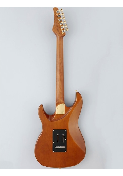 Fujigen Odyssey Elektro Gitar Eos2ew1rm/hcb
