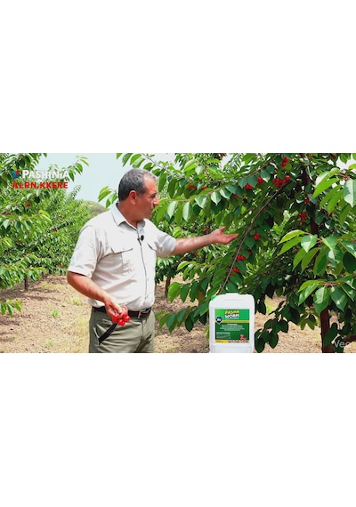 Pashaworm Mix Konsantre Gübre 20 L