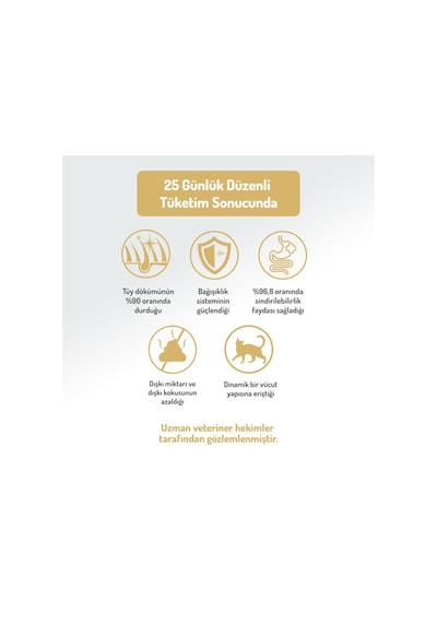 Felicia Urinary Care Sterilised Somonlu Kısırlaştırılmış Kedi Maması 2kg X 2 Adet