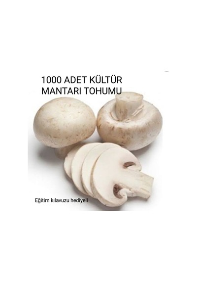 1000 Adet Kültür Mantarı Tohumu + Eğitim Kılavuzu + Hediye