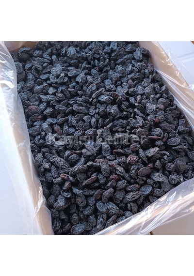 Toptan Duble Kilis Karası Üzüm 10 Kg 10 KG