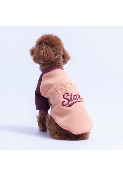 Somon Boston Pawstar Sweat Köpek Sweatshirt Köpek Sweat Köpek Kıyafeti Kedi Kıyafeti Somon Boston Pawstar Sweat Köpek Sweatshirt Köpek Sweat Köpek Kıyafeti Kedi Kıyafeti