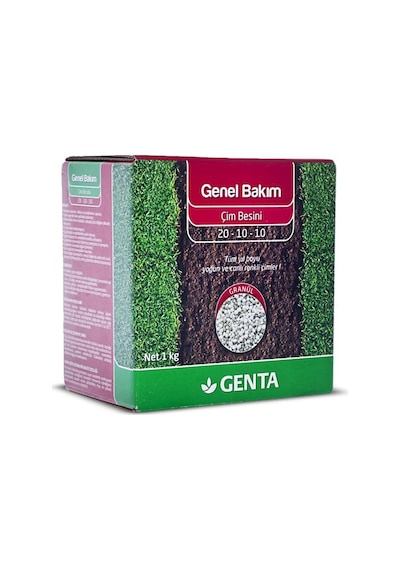 Ayrex Genta Onarım Çim Tohumu 1 Kg - Genel Bakım Çim Gübresi 1 Kg - Çim Onarım Paketi 0,250