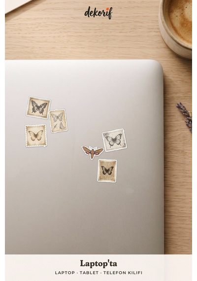 Kelebek Ve Güve Sticker Seti 100 Adet - Doğa Tarihi Antika Böcek Vintage Ajanda Journal Çıkartma Çok Renkli
