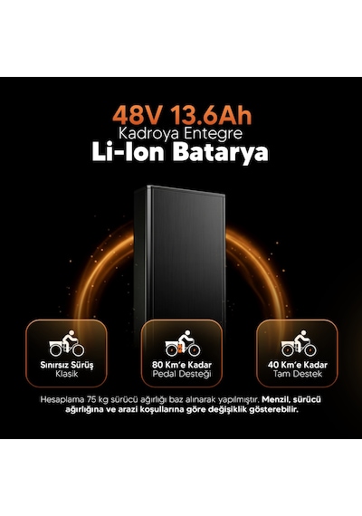 Stradacycles E-VIBE Hidrolik Disk Üç Tekerlekli Elektrikli Bisiklet