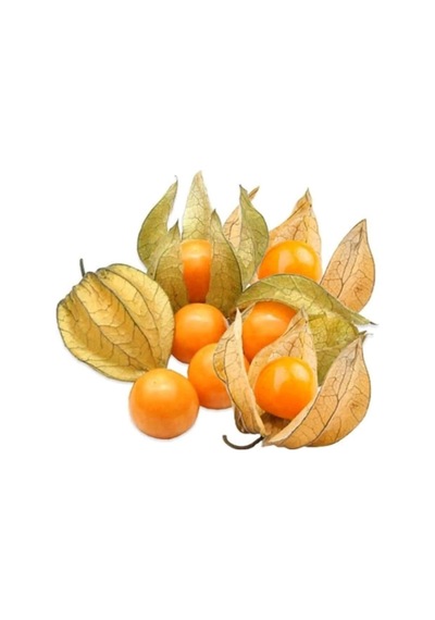 Şifalı Tüplü Yer Kirazı Altın Çilek Fidanı 20-40 Cm