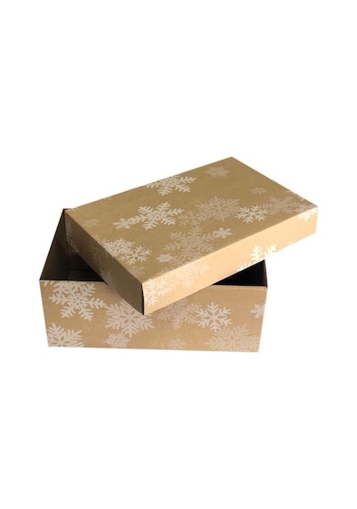 25X15X10 Cm E Ticaret Kapaklı Kargo Kutusu