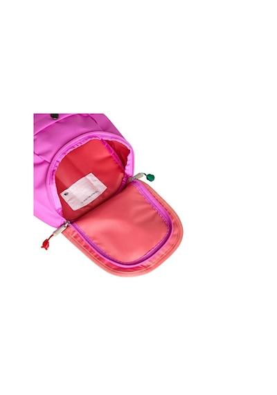 The North Face Y Mini Explorer Sırt Çantası-en: 22 Cm, Boy: 29 Cm, Derinlik: 14 Cm Nf0a52vwm9o1mor Mor