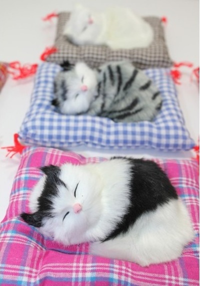 Yastıkta Uyuyan Kedi Sesli 01581337
