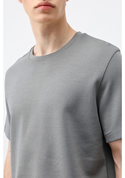 Antioch Regular Fit Basic Erkek T-shirt Füme