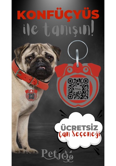 Petjoo 9.Konfüçyüs Gri-Kırmızı Qr'lı Köpek Künyesi
