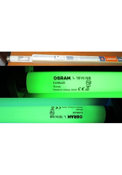 Osram L 18w/66 18 Watt G13 Duy Yeşil Renk T8 Floresan Ampul 3 Adet