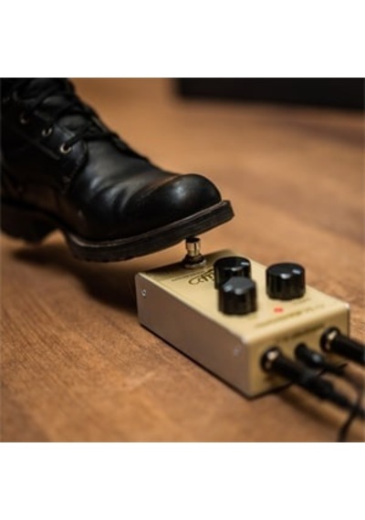 Tc Electronıc Drıp Sprıng Reverb