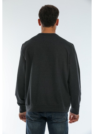 Süperlife Erkek Bisiklet Yaka Regular Fit Brooklyn Baskılı İnce Sweatshirt Spr22sw132 Antrasit Süperlife Erkek Bisiklet Yaka Regular Fit Brooklyn Baskılı İnce Sweatshirt Spr22sw132 Antrasit