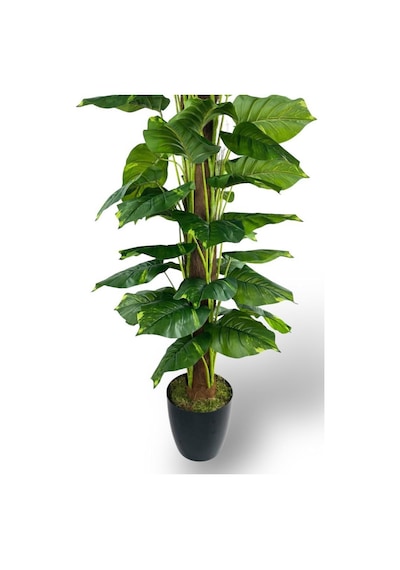 Yapay Çiçek Pothos Salon Sarmaşığı Tropik Salon Bitkisi Yapay Ağaç 165cm