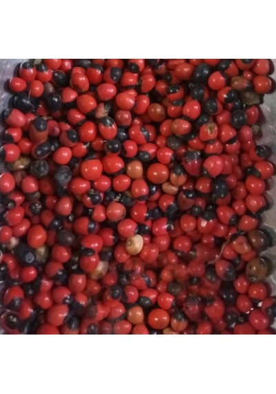 Horoz Gözü 500 Gr Aktar Depo