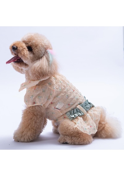 Sarı Valencia Çiçek Desenli Elbise Kedi Köpek Elbisesi - Kedi Köpek Kıyafeti