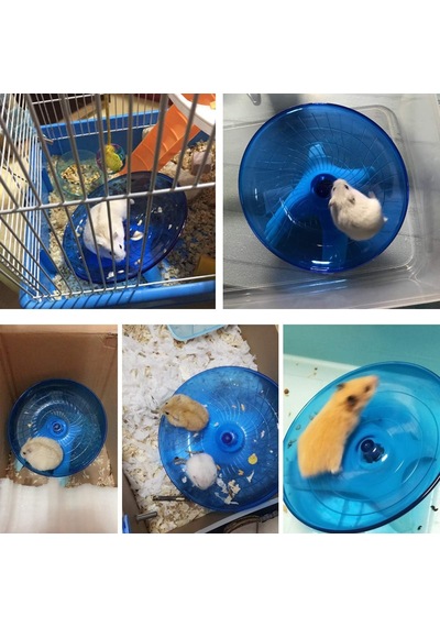 Hamster Uçan Tabak Sessiz Koşu Egzersiz Çarkı Gerbil Fare Kirpi Küçük Hayvanlar İçin Mavi