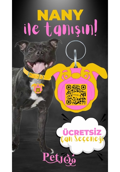 Petjoo 17.Nany Pembe-Sarı Qr'lı Köpek Künyesi