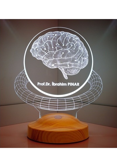 3D Profesör Doktor Beyin Hediyesi Kişiye Özel 3 Boyutlu Led Lamba