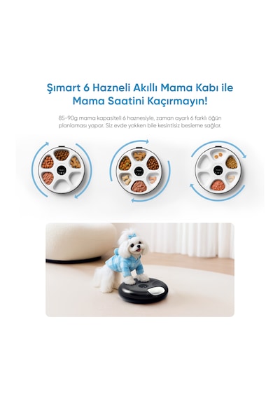 6 Hazneli Akıllı Mama Kabı Uygulama Kontrollü, Soğutuculu, Yaş Mama Uyumlu