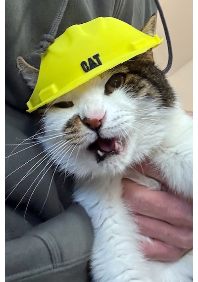 Kedi İnşaat Baretli Kostüm Eğlenceli Kedi Şapkası & Fotoğraf Aksesuarı